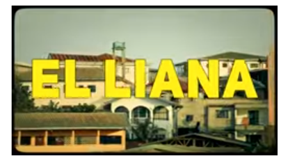 EL Liana -Try ( video, Directed by DaStarLion) Download Mp3